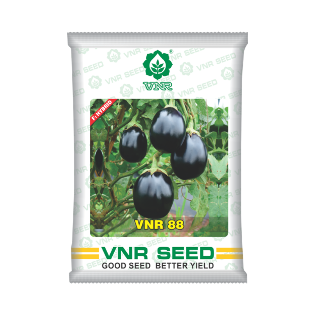 VNR 88 Brinjal Seeds - VNR | F1 Hybrid | Buy Online at Best Price Now