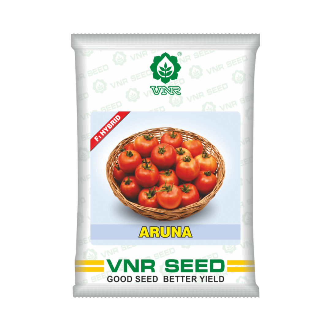Aruna Tomato Seeds - VNR | F1 Hybrid | Buy Online at Best Price Now