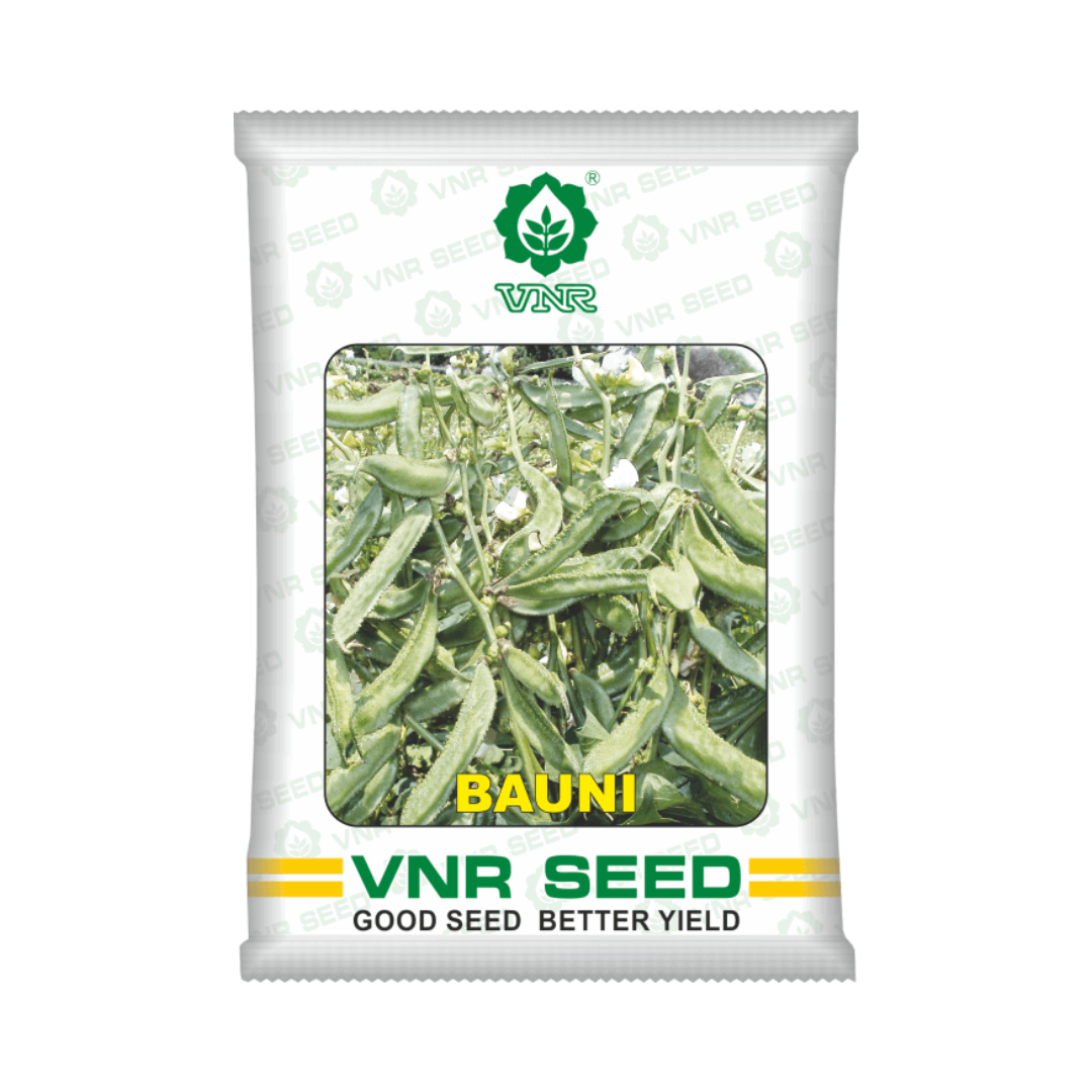 Bauni Dolichos Seeds - VNR | F1 Hybrid | Buy Online at Best Price Now