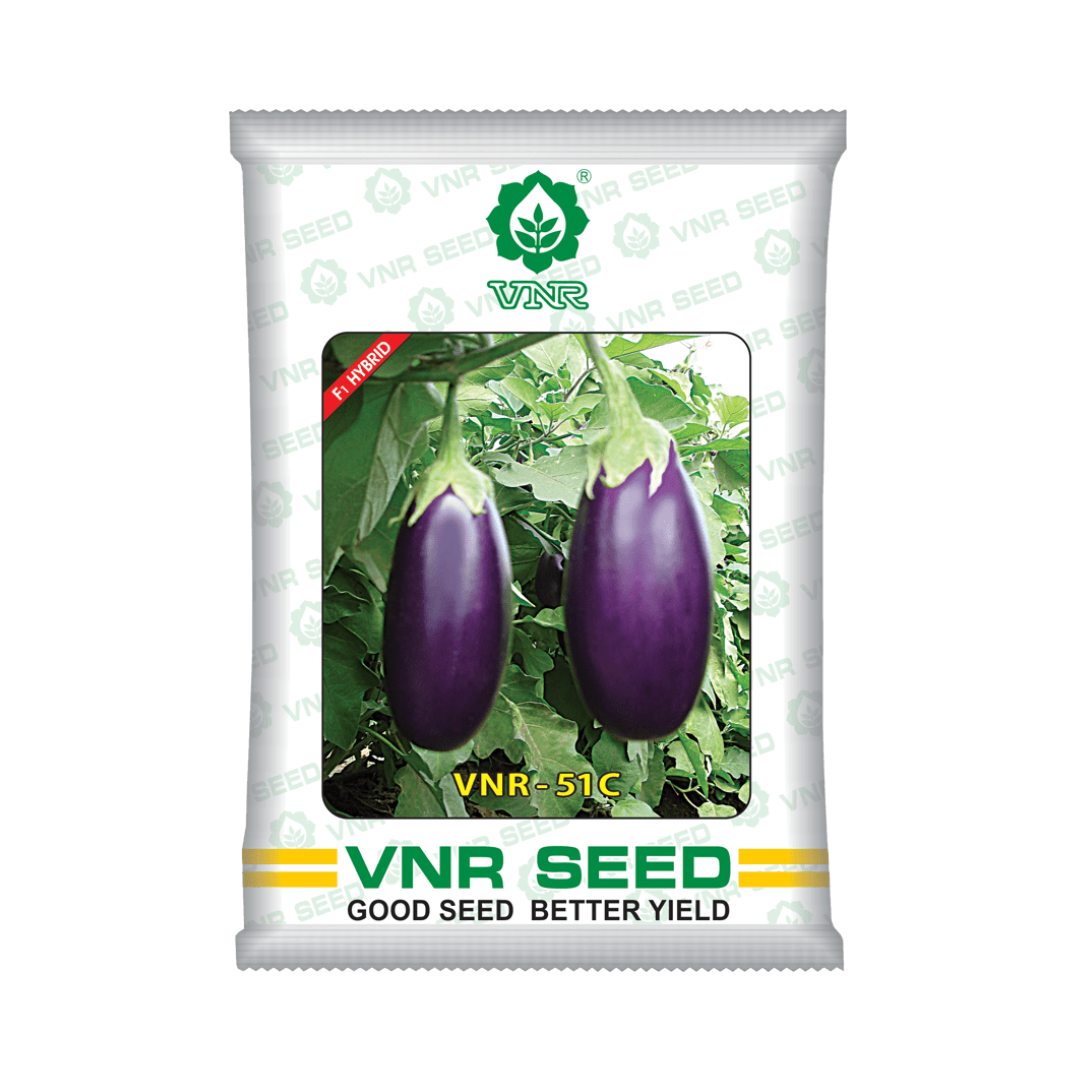 VNR 51C Brinjal Seeds - VNR | F1 Hybrid | Buy Online at Best Price Now