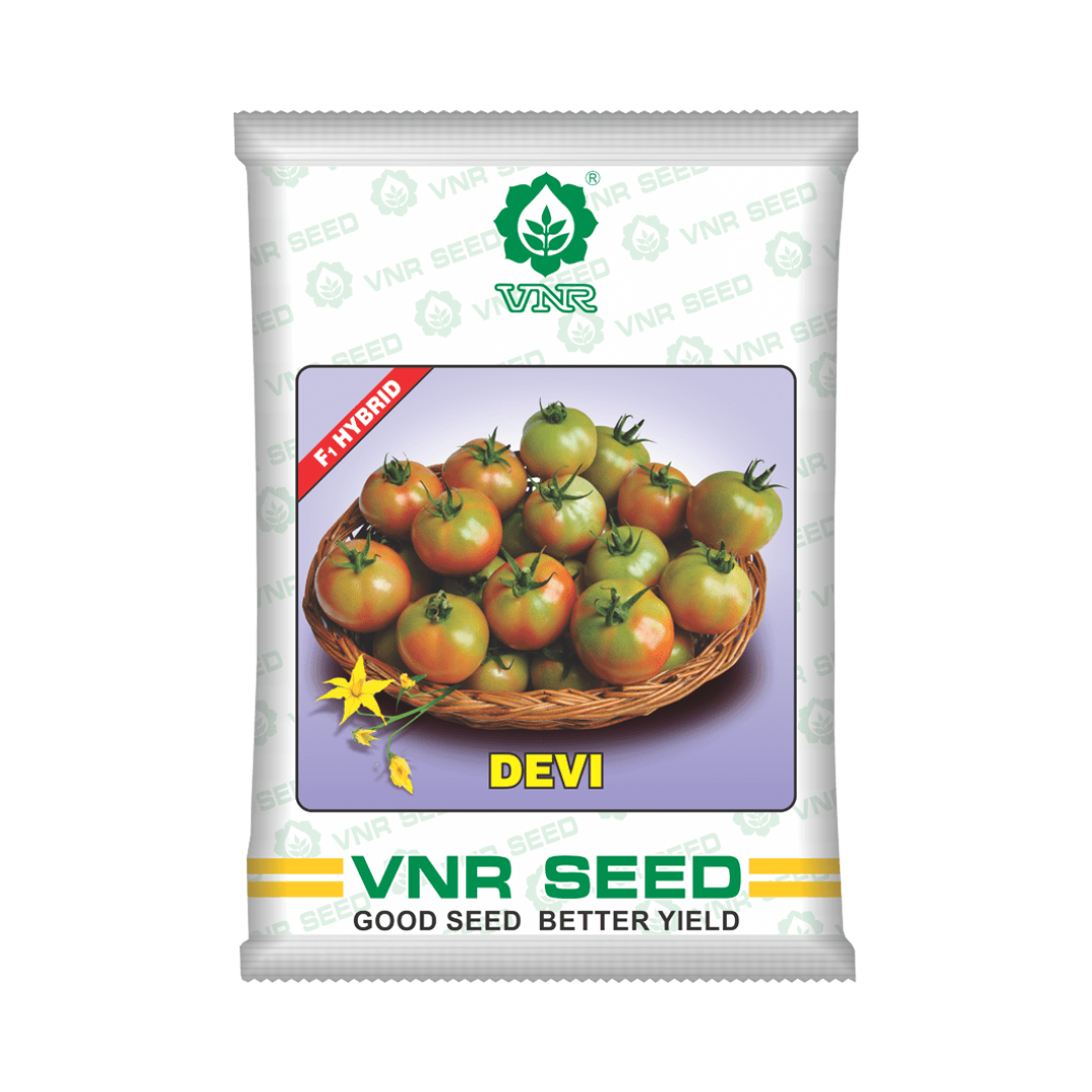 Devi Tomato Seeds - VNR | F1 Hybrid | Buy Online at Best Price Now
