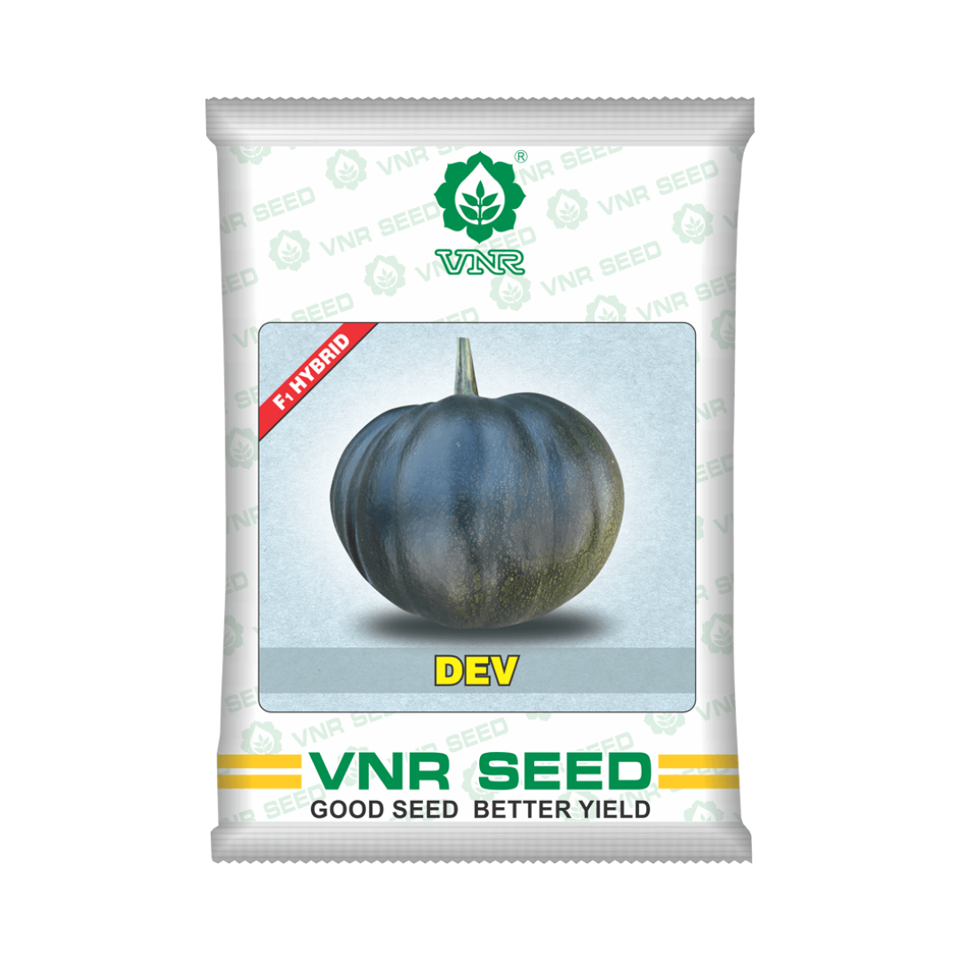 Dev Pumpkin Seeds - VNR | F1 Hybrid | Buy Online at Best Price