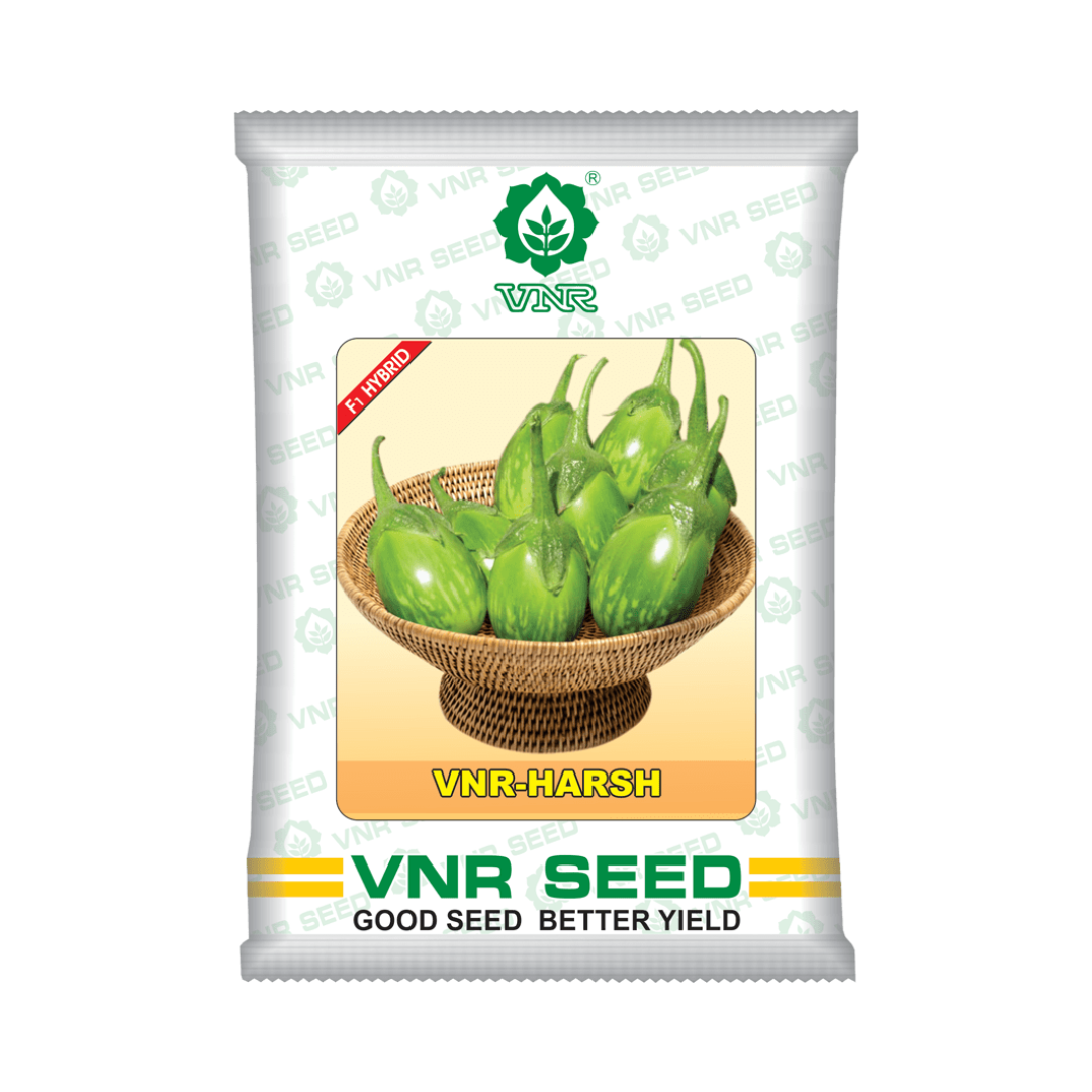 VNR Harsh Brinjal Seeds - VNR | F1 Hybrid | Buy Online at Best Price Now