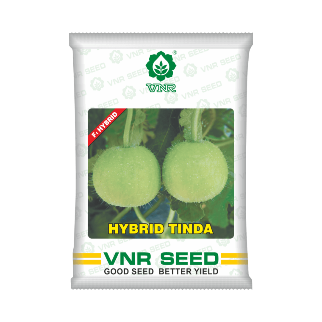 VNR Hybrid Tinda Seeds - East West| F1 Hybrid | Buy Online at Best Price