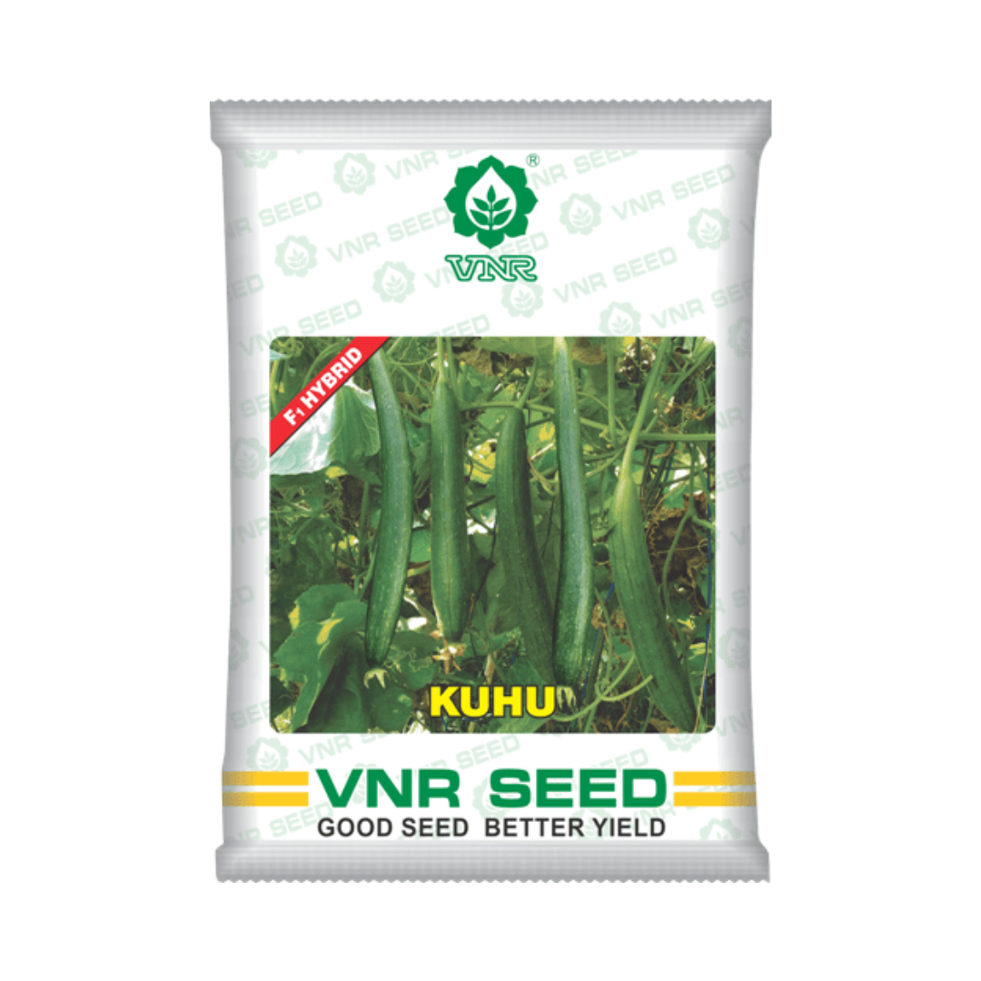 Kuhu Sponge Gourd Seeds - VNR | F1 Hybrid | Buy Online at Best Price