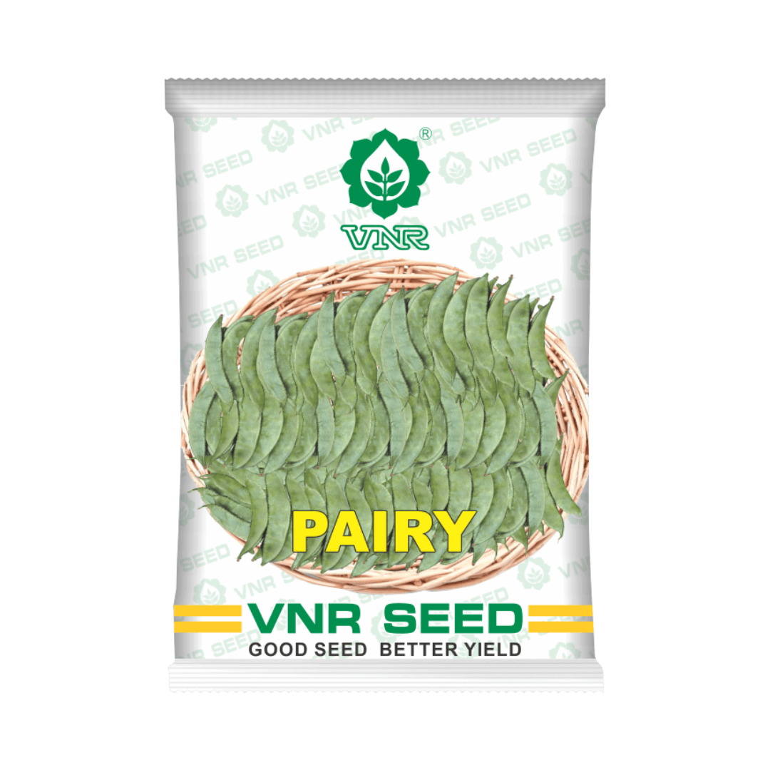 Pairy Dolichos Seeds - VNR | F1 Hybrid | Buy Online at Best Price Now