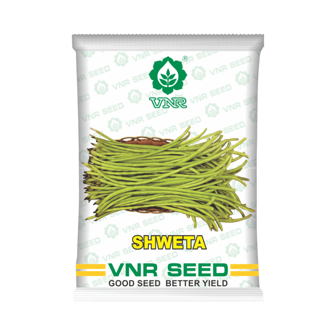 Shweta Cowpea Seeds - VNR | F1 Hybrid | Buy Online at Best Price Now
