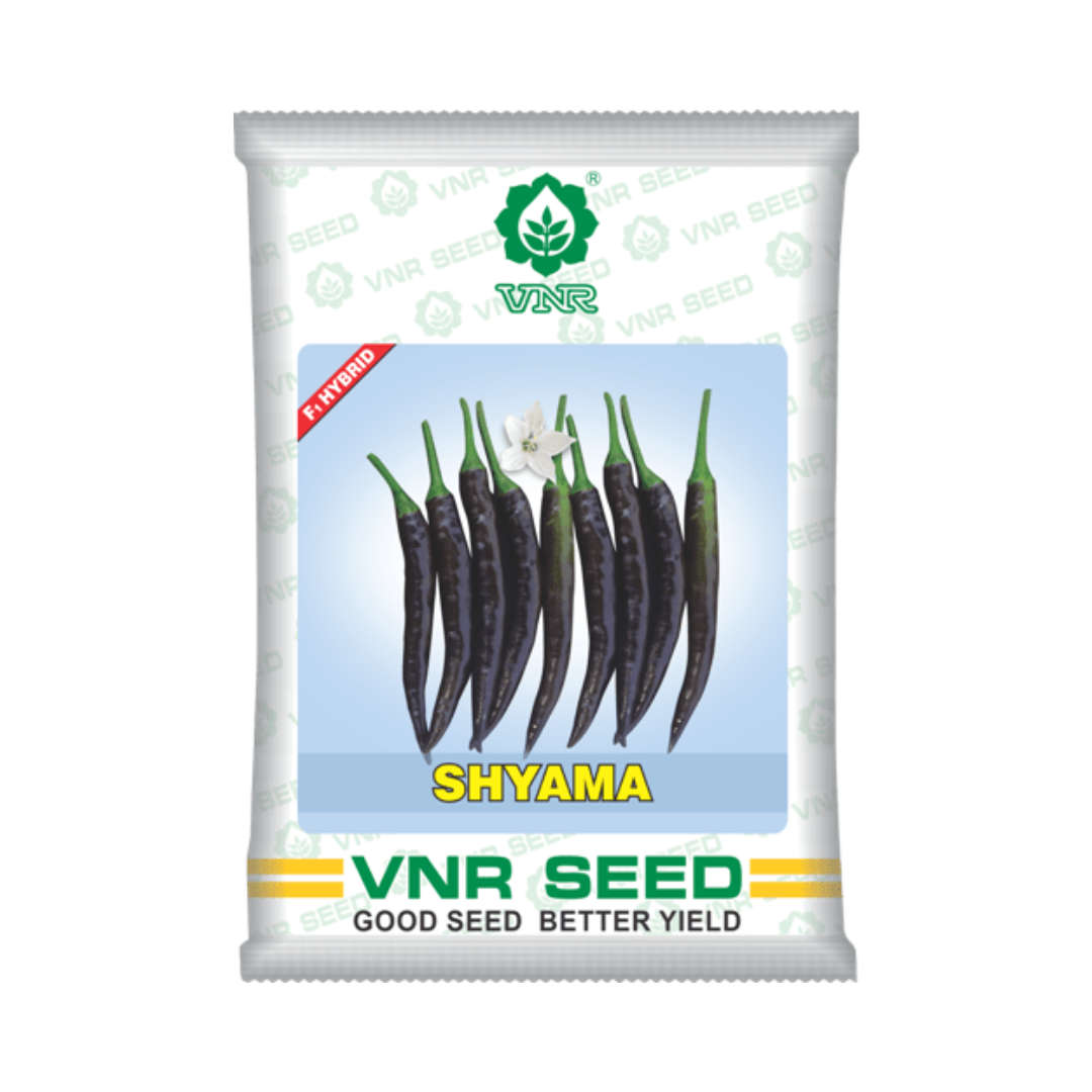 Shyama Chilli Seeds - VNR | F1 Hybrid | Buy Online at Best Price Now