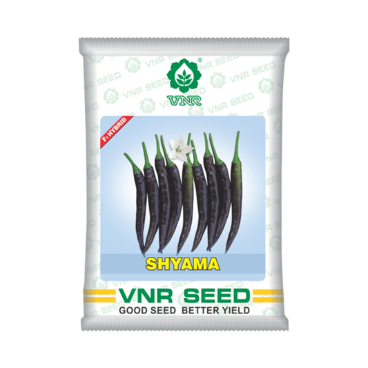 Shyama Chilli Seeds - VNR | F1 Hybrid | Buy Online at Best Price Now