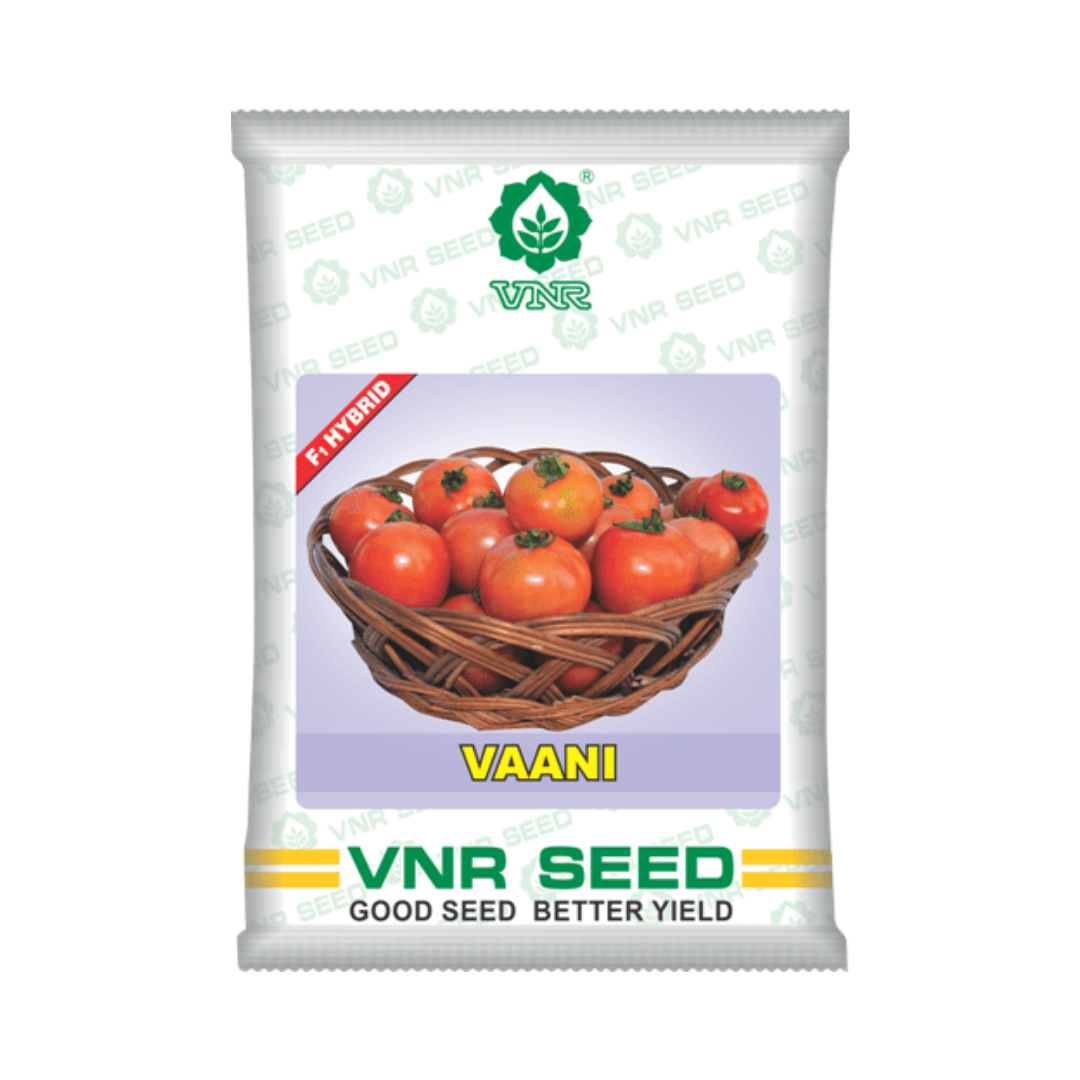Vaani Tomato Seeds - VNR | F1 Hybrid | Buy Online at Best Price Now