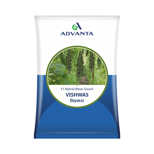 Vishwas Bitter Gourd Seeds - Advanta | F1 Hybrid | Buy Online Now