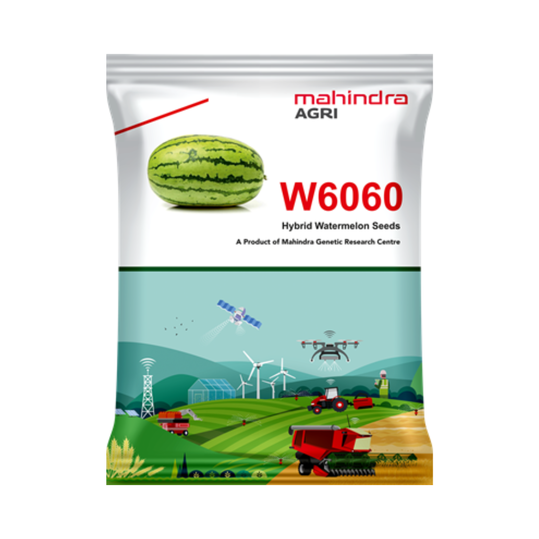 W6060 Watermelon Seeds - Mahindra Agri | F1 Hybrid | Buy Online Now
