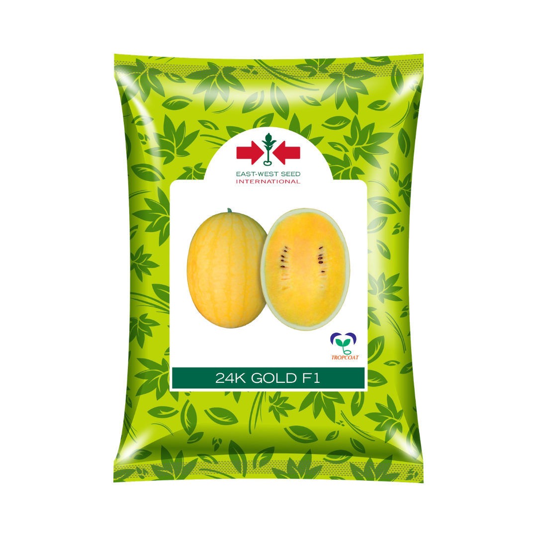 24K Gold Watermelon Seeds - East West | F1 Hybrid | Buy Online at Best Price
