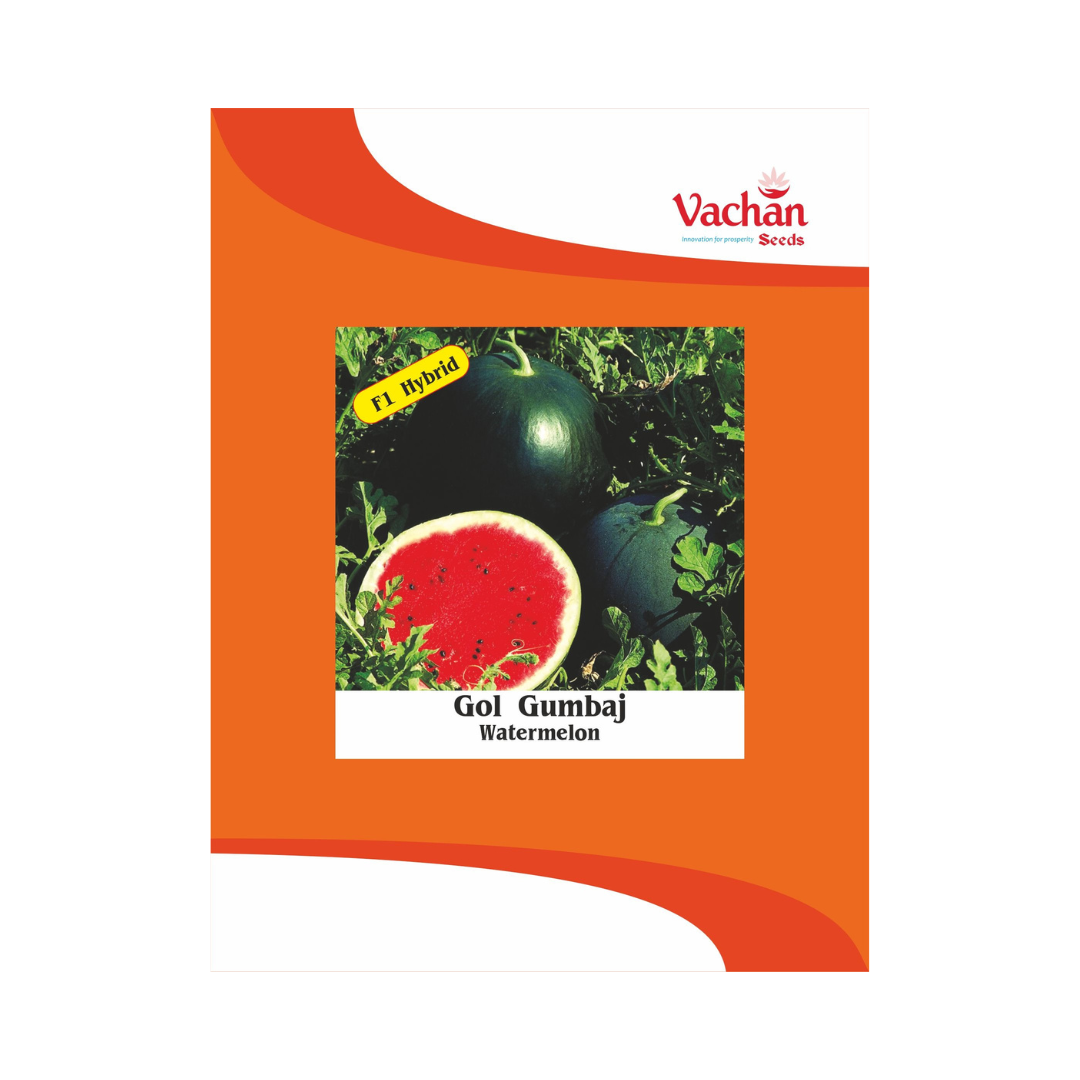 Gol Gumbaj Watermelon Seeds - Vachan | F1 Hybrid | Buy Online Now - DesiKheti
