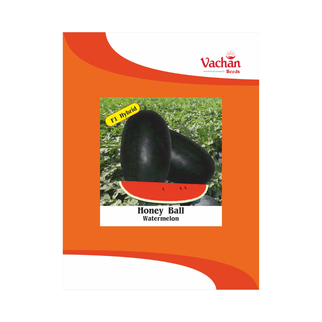 Honey Ball Watermelon Seeds - Vachan | F1 Hybrid | Buy Online Now - DesiKheti