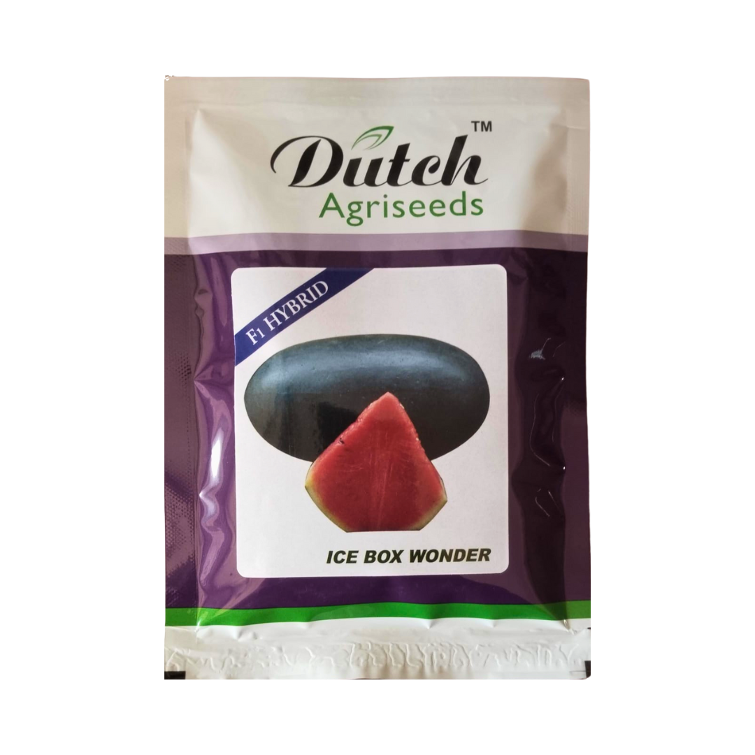 Ice Box Wonder Watermelon Seeds - Dutch Agriseeds | F1 Hybrid | Buy Online Now