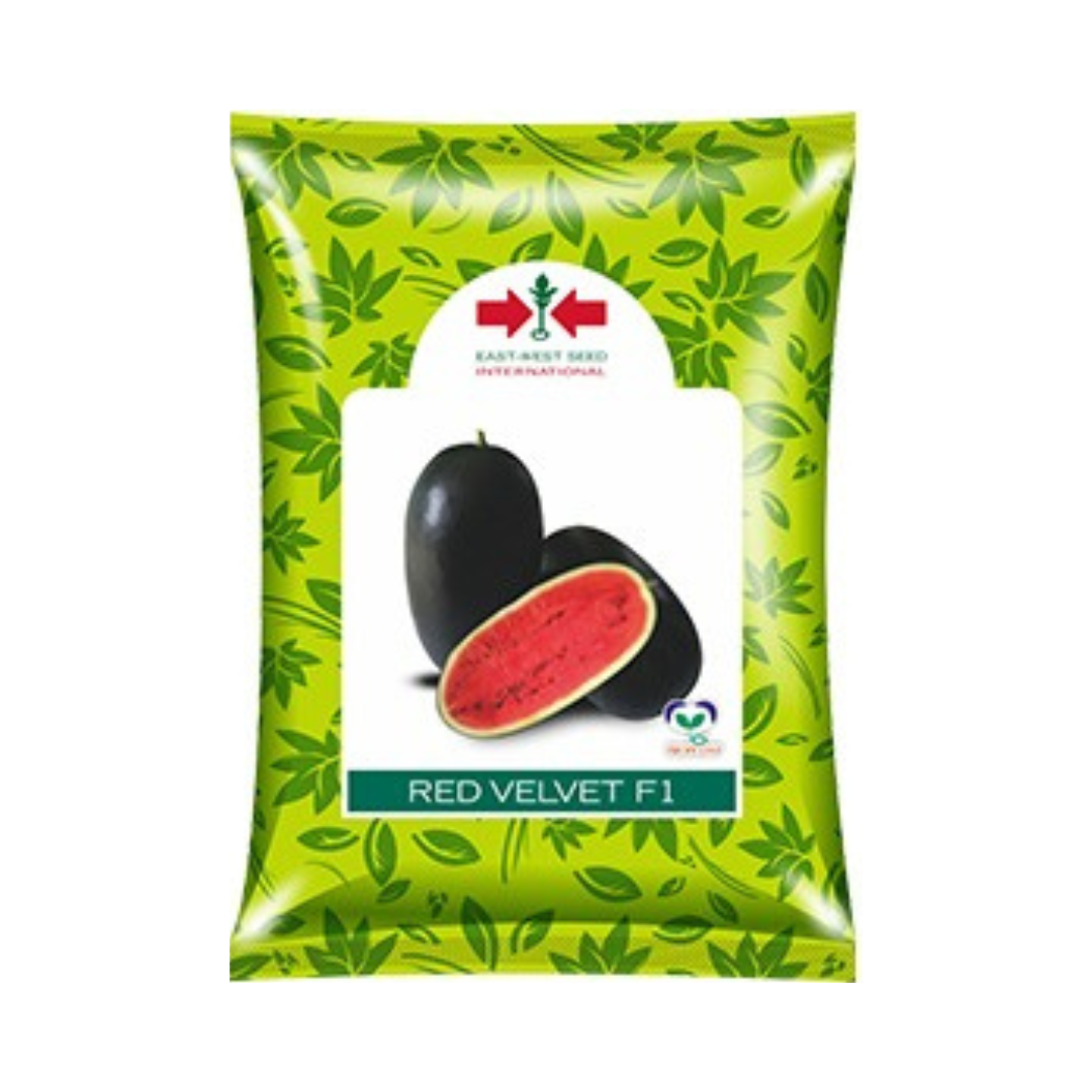 Red Velvet Watermelon Seeds - East West | F1 Hybrid | Buy Online at Best Price