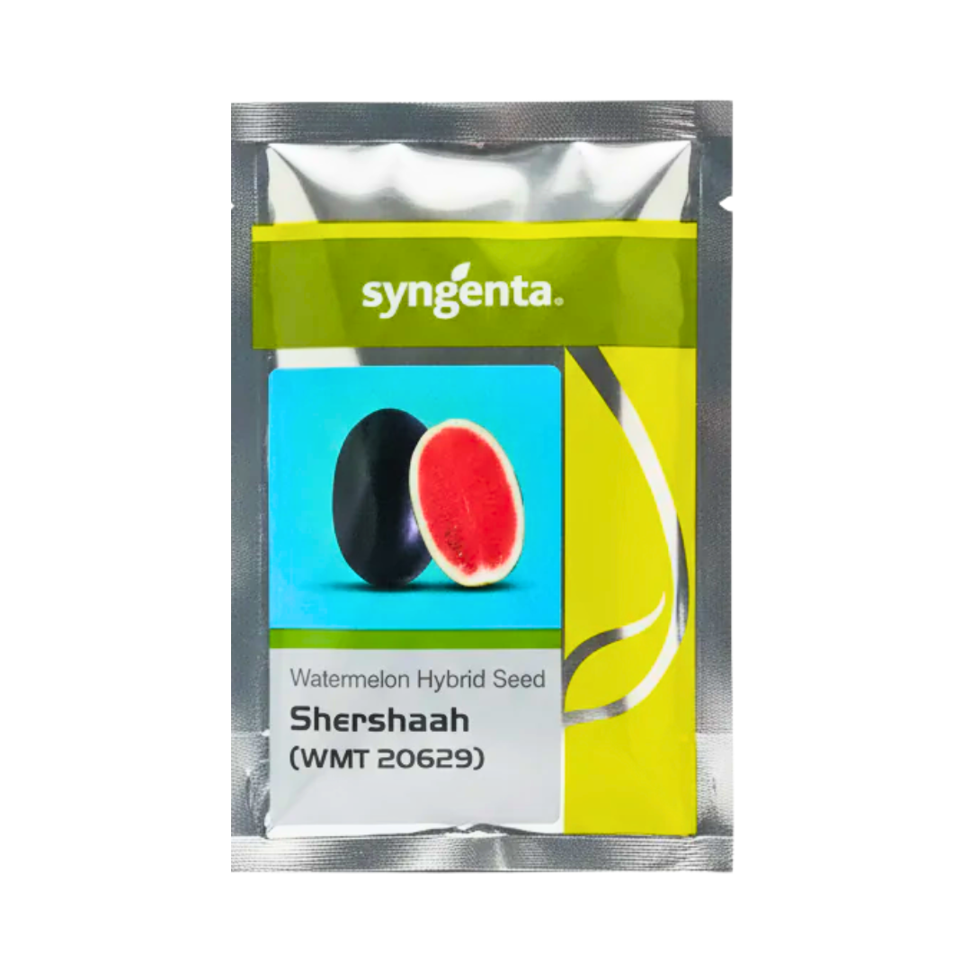 Shershaah Watermelon Seeds - Syngenta | Buy Online at Best Price Now
