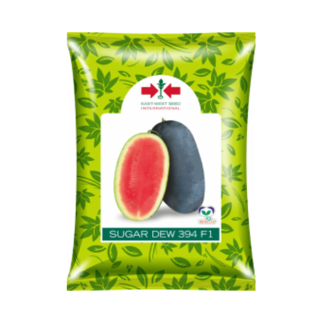 Sugar Dew Watermelon Seeds - East West | F1 Hybrid | Buy Online at Best Price