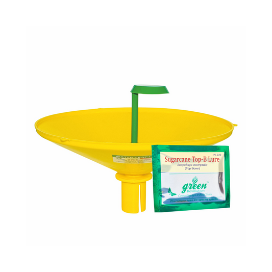 Water Trap With Sugarcane Top-B Lure - Green Revolution | Buy Online