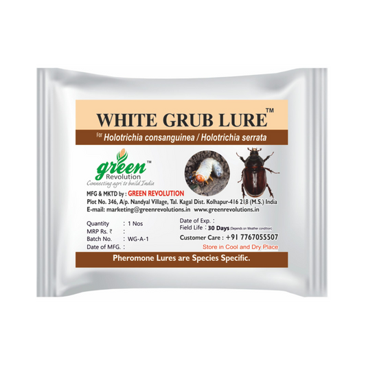 White Grub Lure H. Serrata H Consungunia (pack of 10) - Green Revolution