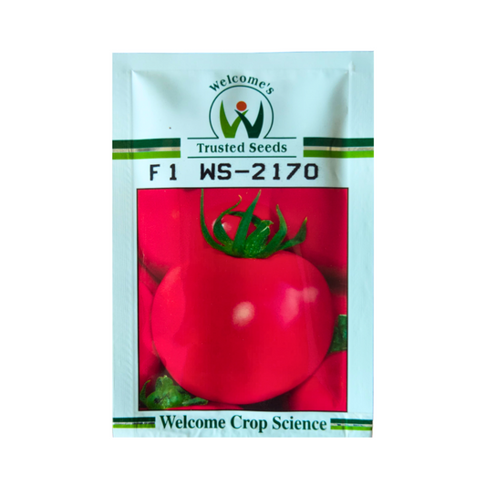 WS-2170 Tomato Seeds - Welcome | F1 Hybrid | Buy Online at Best Price