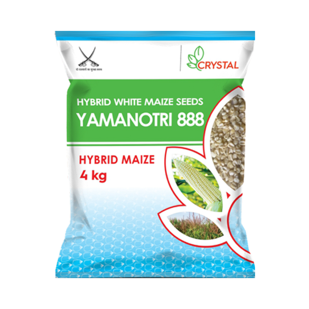 Yamanotri 888 Maize Seeds - Crystal | F1 Hybrid | Buy Online at Best Price
