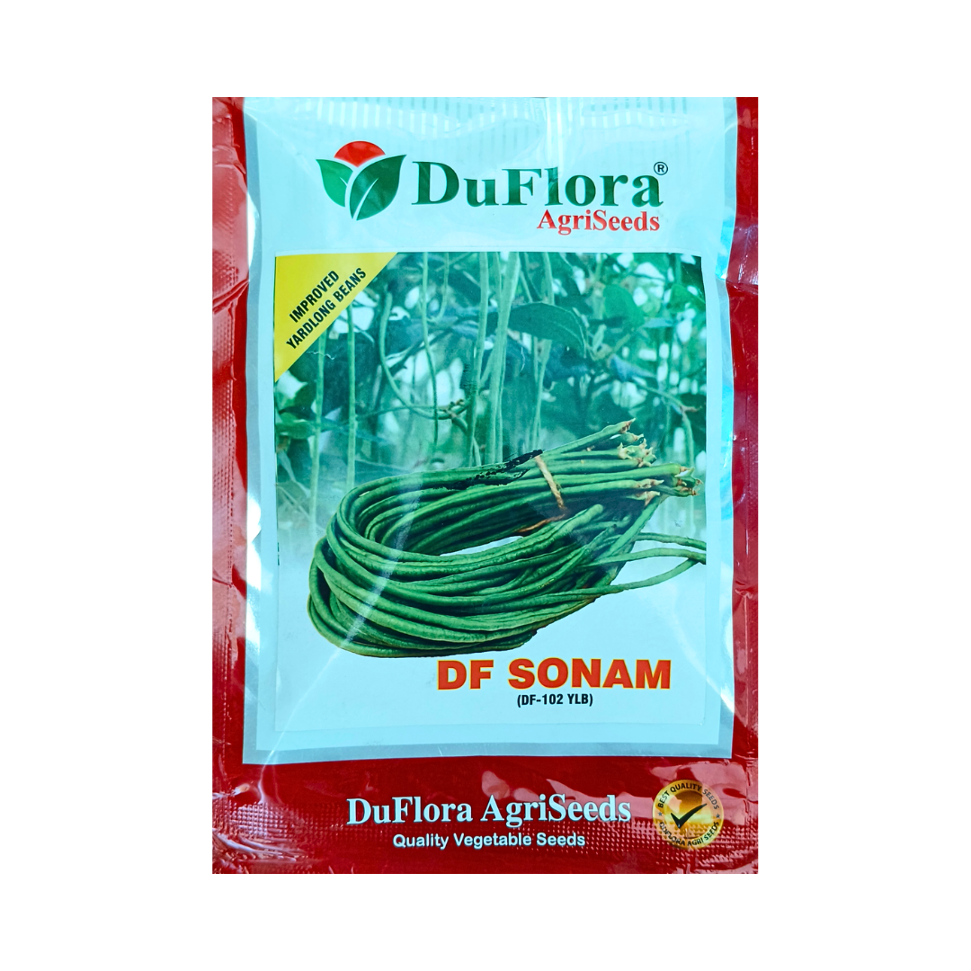 DF Sonam Yard Long Beans Seeds - Duflora | Buy Online at Best Price Now