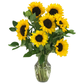 Sunshine Yellow With Black Center Ornamental Sunflower Seeds - Known You | F1 Hybrid | Buy Online at Best Price