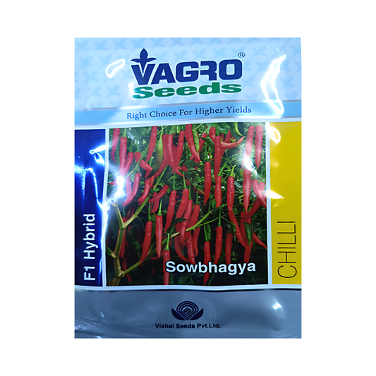 Sowbhagya Chilli Seeds - Vagro | F1 Hybrid | Buy Online Now