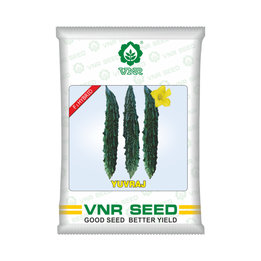 Yuvraj Bitter Gourd Seeds - VNR | F1 Hybrid | Buy Online at Best Price