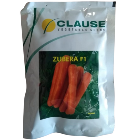Zubera Carrot Seeds | Buy Online At Best Price
