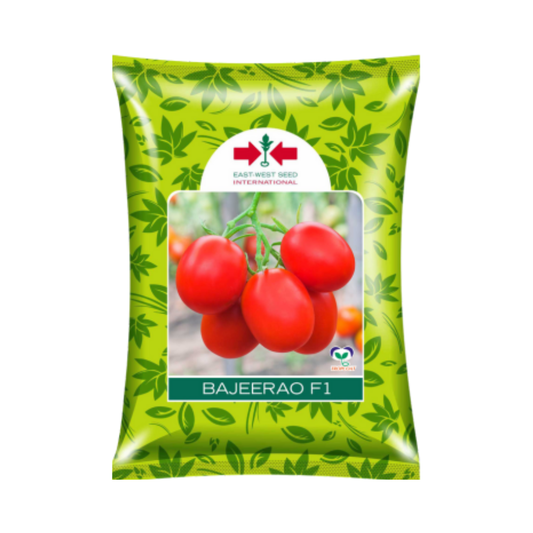 Bajeerao Tomato seeds - East West | F1 Hybrid | Buy Online at Best Price