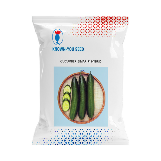 Simar Cucumber Seeds - Known You | F1 Hybrid | Buy Online at Best Price