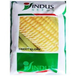Indus Sweet Glory Sweet Corn Seeds | F1 Hybrid | Buy Online at Best Price