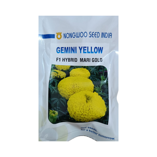 Gemini Yellow Marigold Seeds - Nongwoo | F1 Hybrid | Buy Now