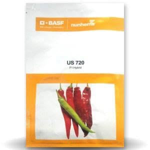 US 720 Chilli Seeds - Nunhems | F1 Hybrid | Buy Online at Best Price