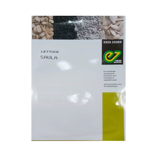 Saula Lettuce Seeds - Enza Zaden | F1 Hybrid | Buy Online at Best Price