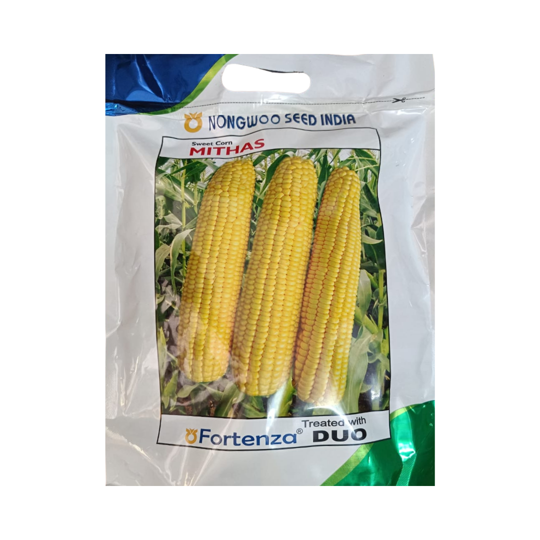Mithas Sweet Corn Seeds - Nongwoo | F1 Hybrid | Buy Online Now