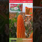 Angad 1217 Maize Seeds