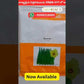Saransh Bhindi (Okra) Seeds