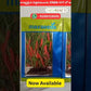 Raksha Chilli Seeds