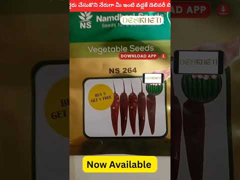 NS 264 Chilli Seeds - Namdhari | F1 Hybrid | Buy Online at Best