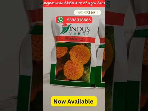 tennis ball marigold seeds Ashtagandha Plus Marigold Seeds - Indus