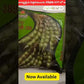 DPV-345 Red Gram Seeds