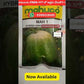 MAH 1 Ash Gourd Seeds