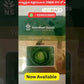 NS 22 Cabbage Seeds