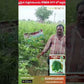 Priyanka Okra Seeds