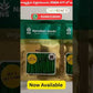 NS 279 Chilli Seeds