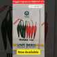 Rudra 144 Chilli Seeds